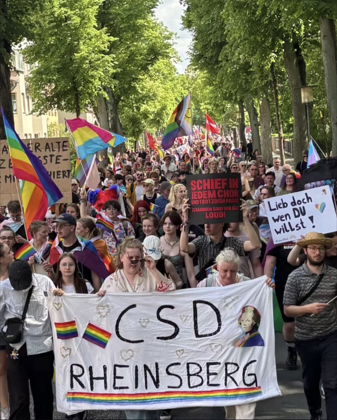CSD Rheinsberg Bild